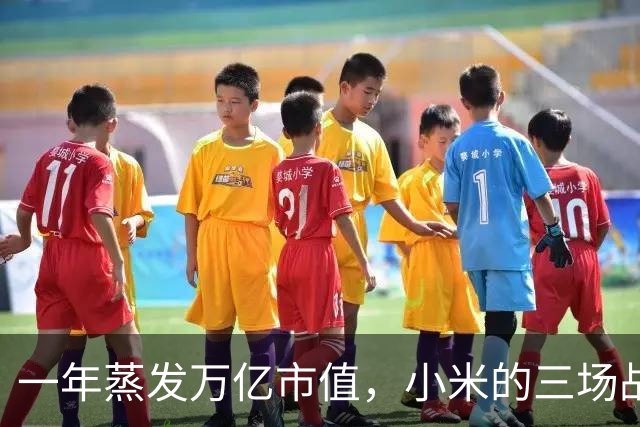 一年蒸发万亿市值，小米的三场战争：手机、汽车和AI